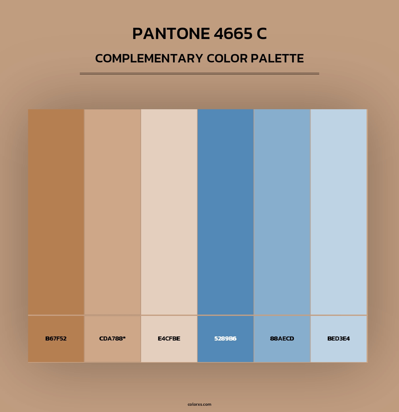 PANTONE 4665 C - Complementary Color Palette