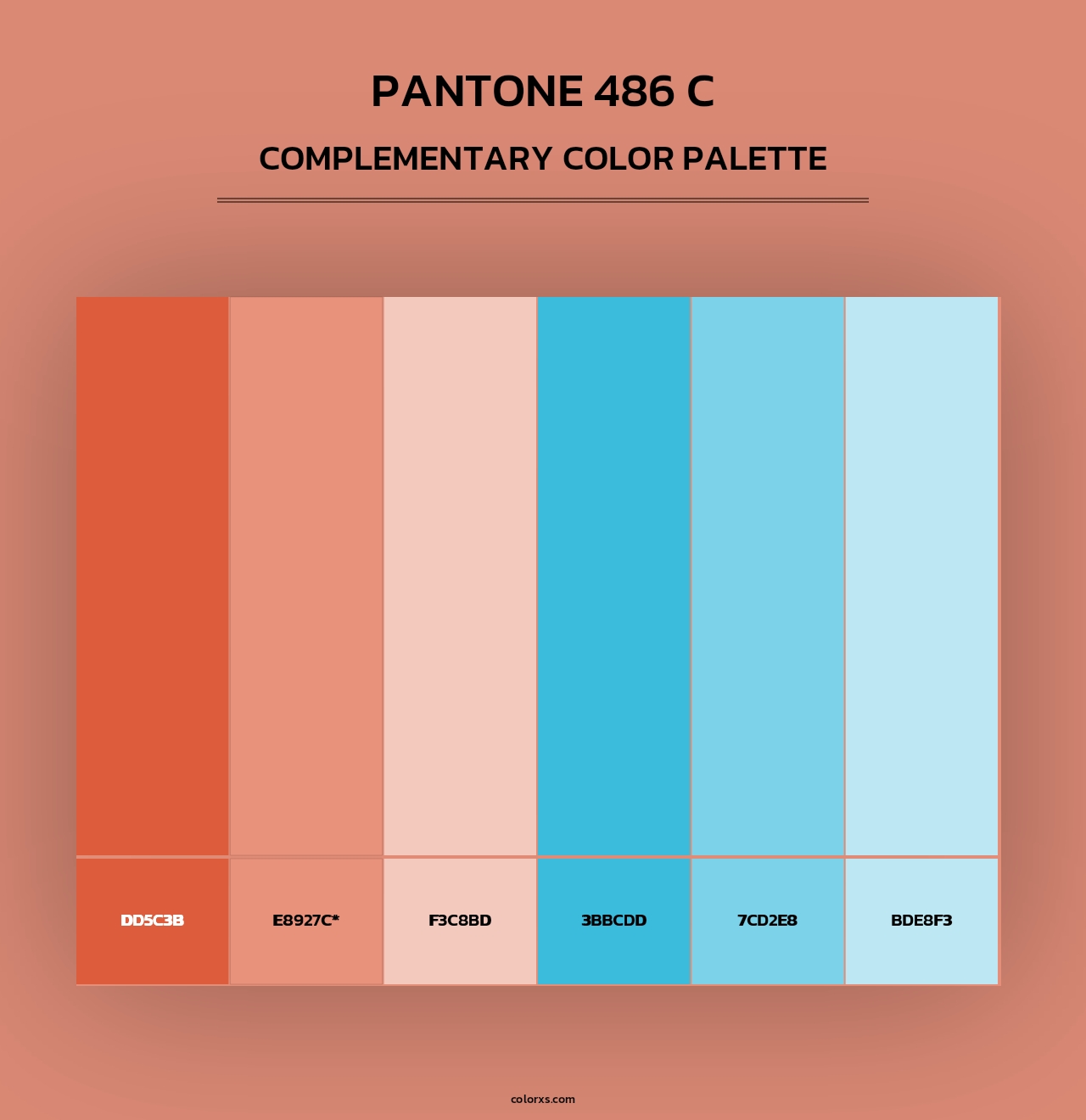 PANTONE 486 C - Complementary Color Palette