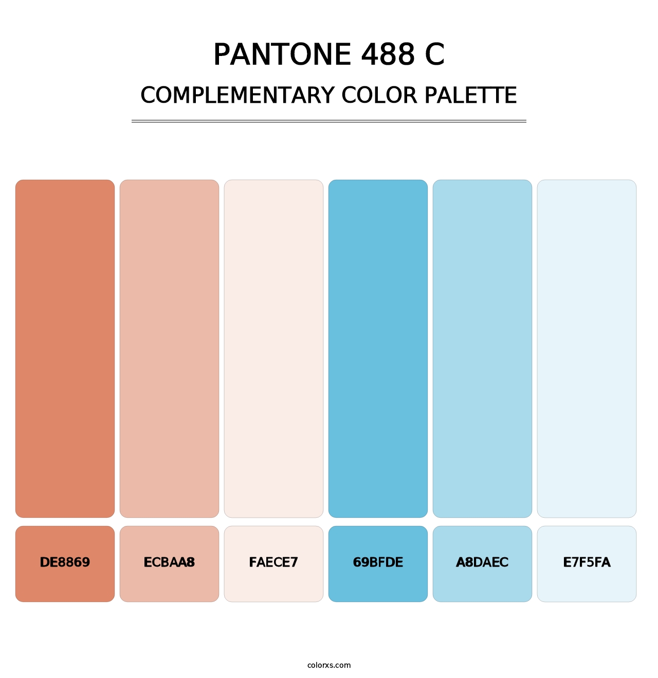 PANTONE 488 C - Complementary Color Palette