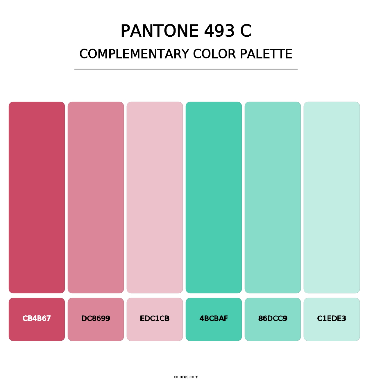 PANTONE 493 C - Complementary Color Palette