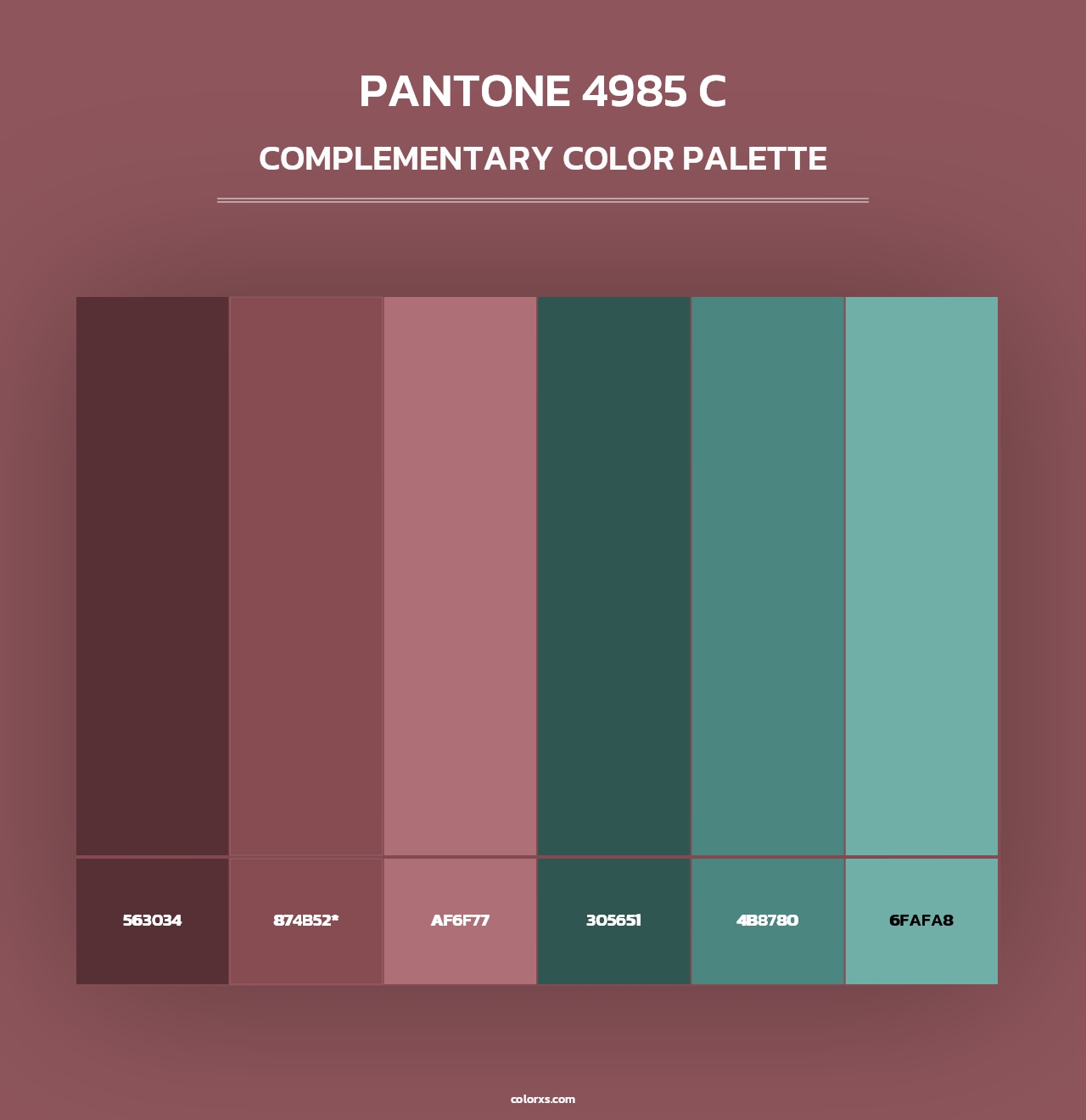 PANTONE 4985 C - Complementary Color Palette