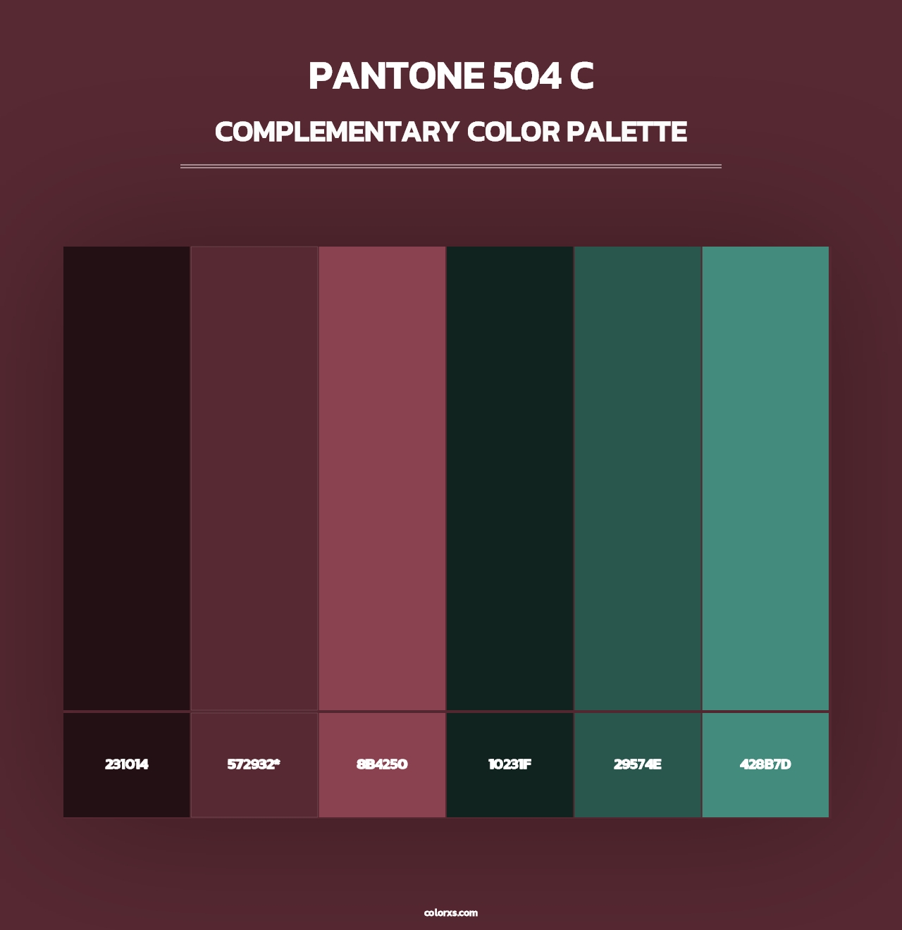 PANTONE 504 C - Complementary Color Palette