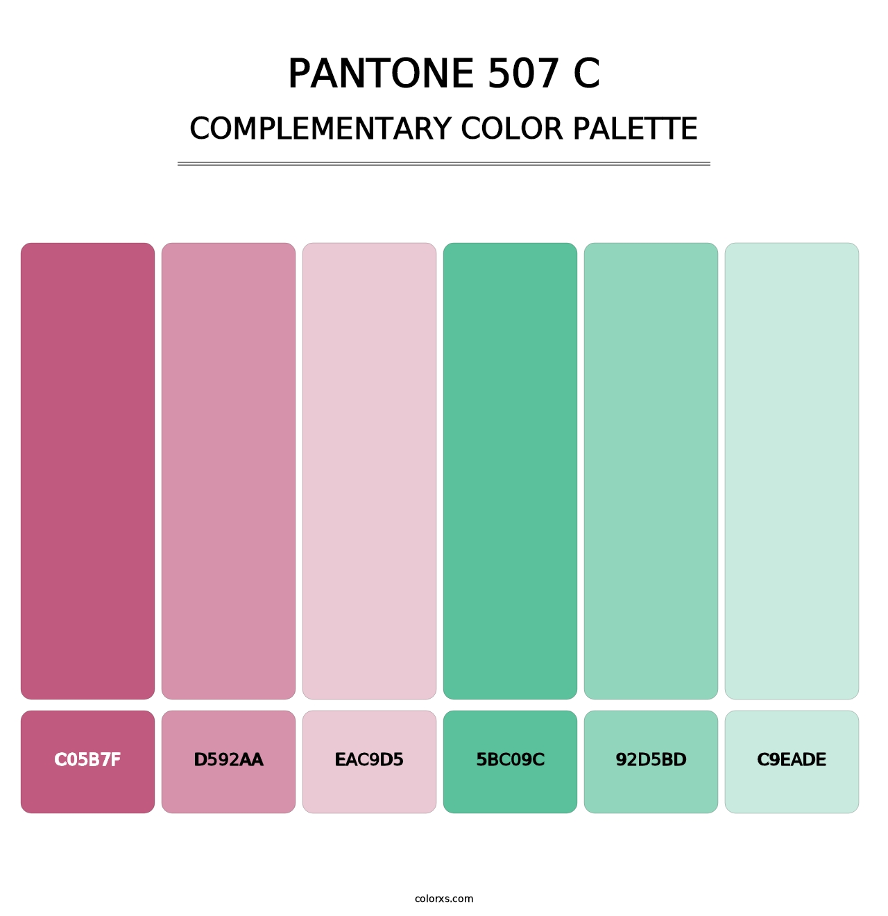 PANTONE 507 C - Complementary Color Palette