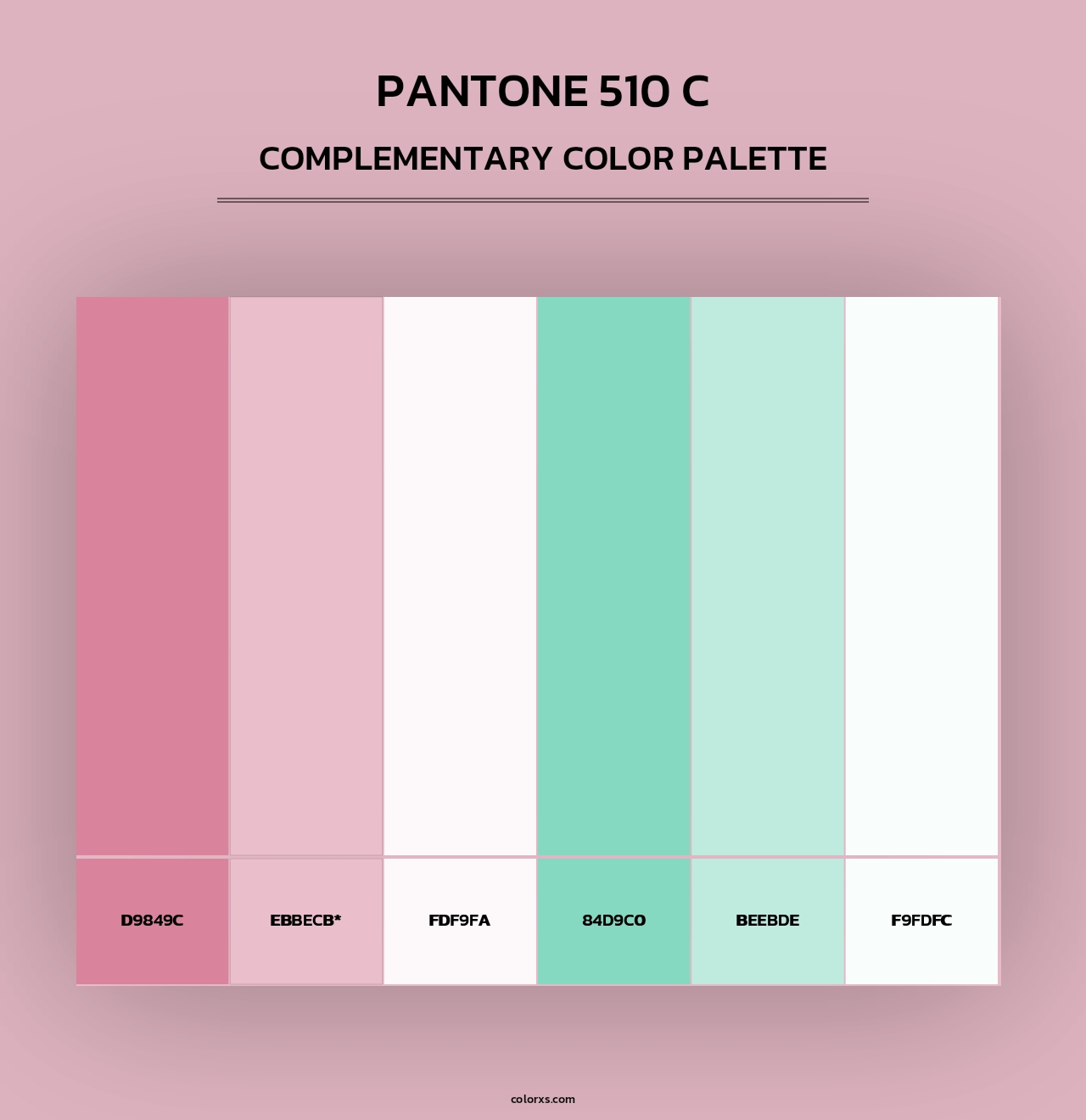 PANTONE 510 C - Complementary Color Palette