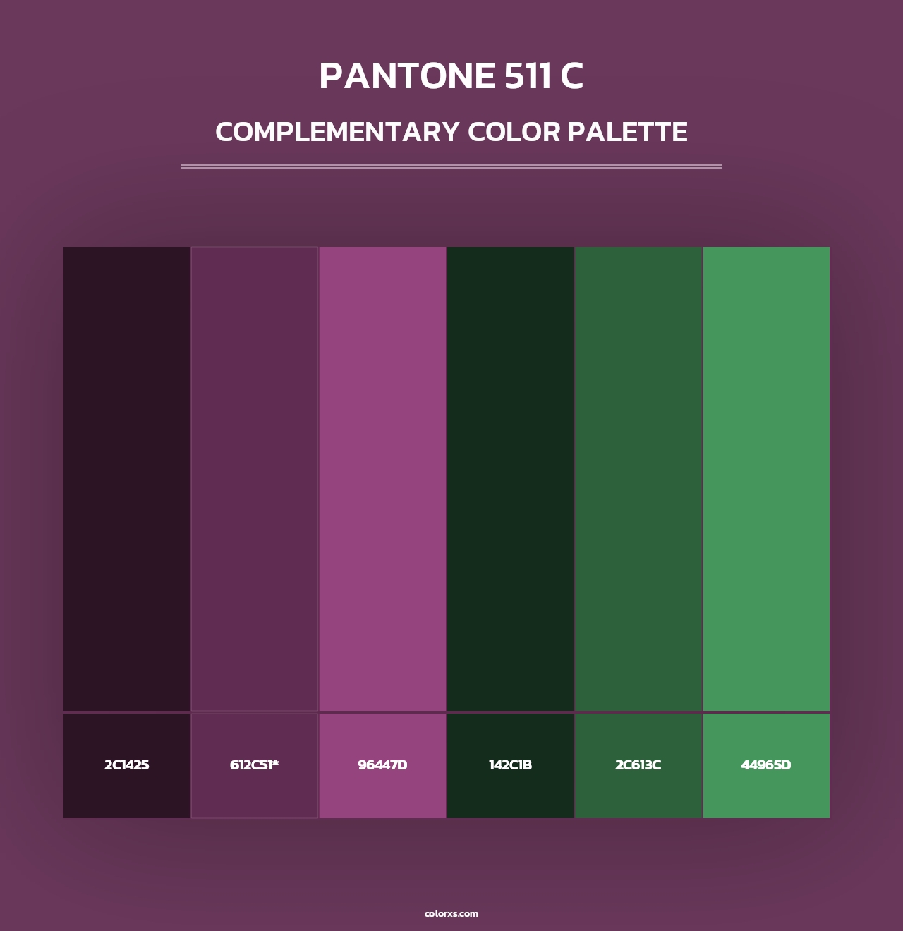 PANTONE 511 C - Complementary Color Palette