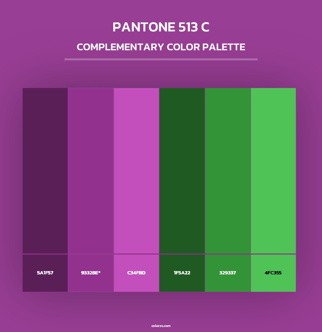 PANTONE 513 C - Complementary Color Palette