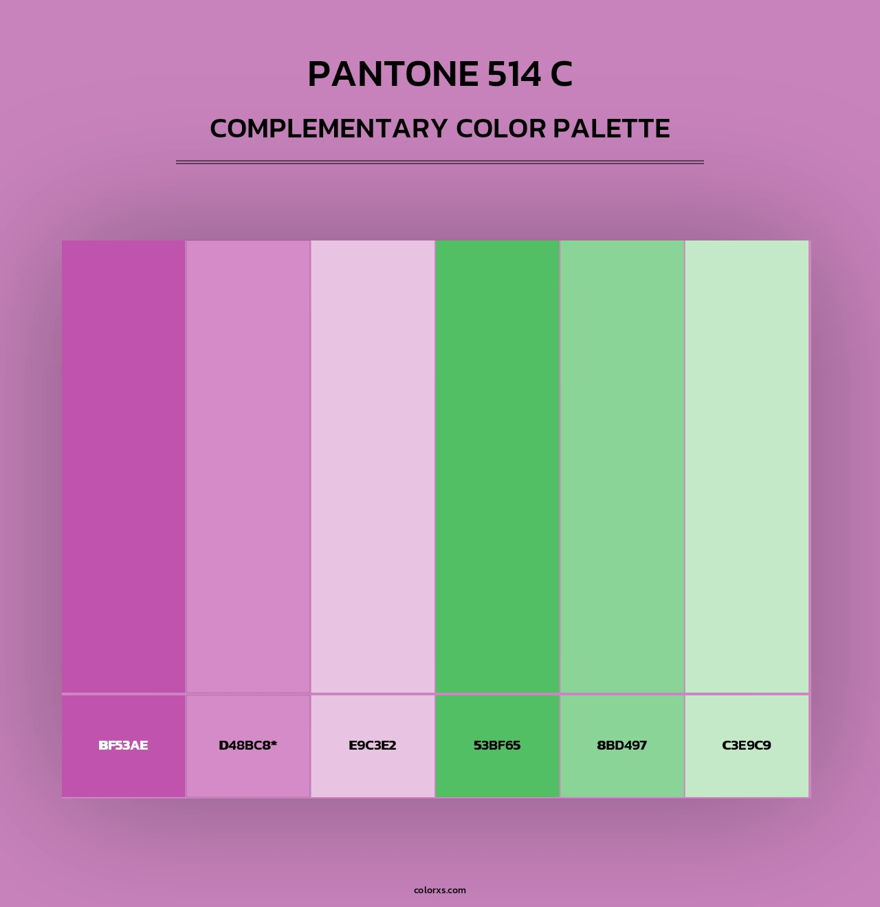 PANTONE 514 C - Complementary Color Palette
