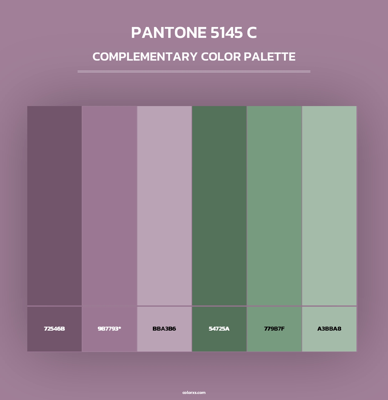 PANTONE 5145 C - Complementary Color Palette