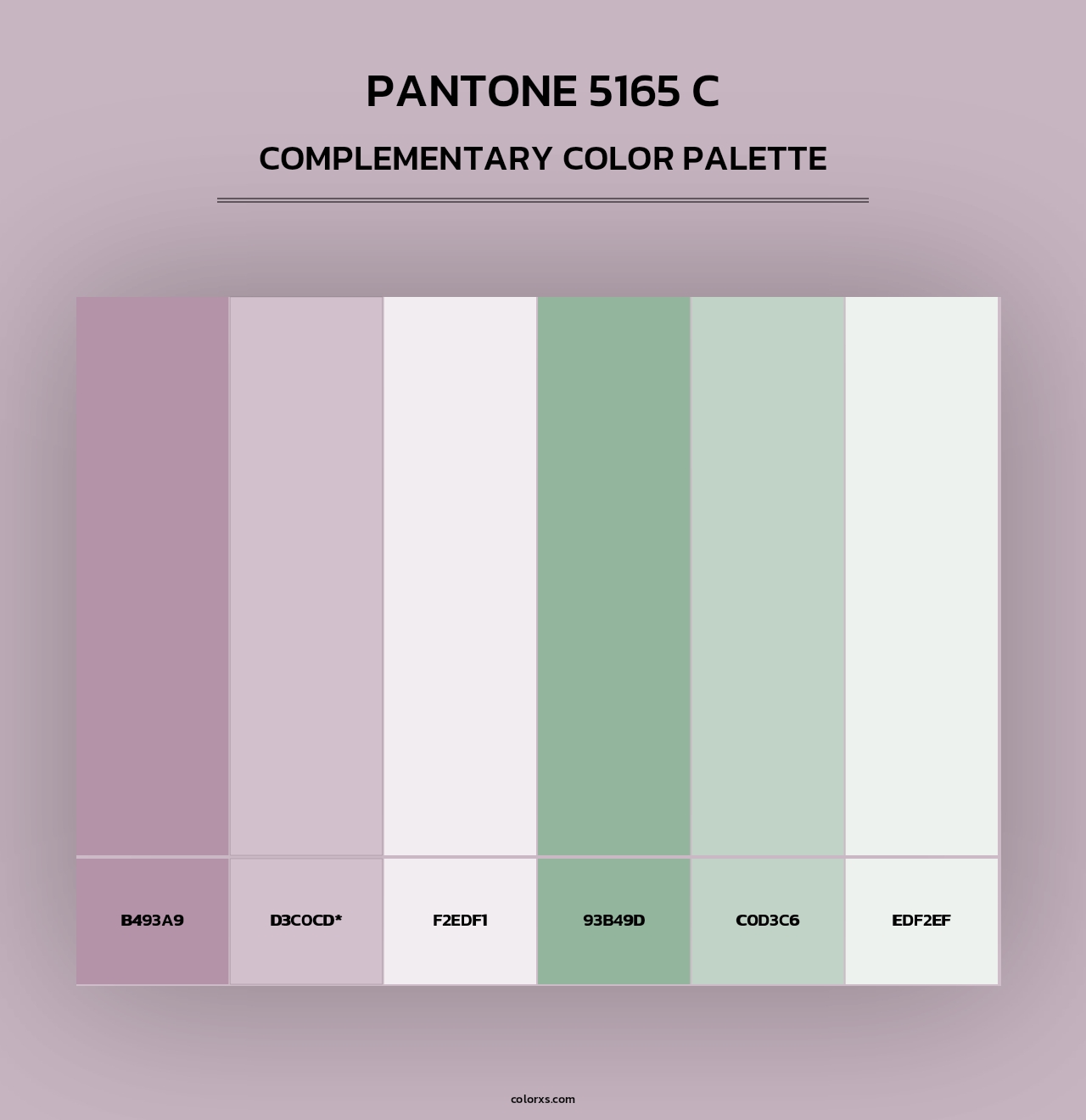 PANTONE 5165 C - Complementary Color Palette