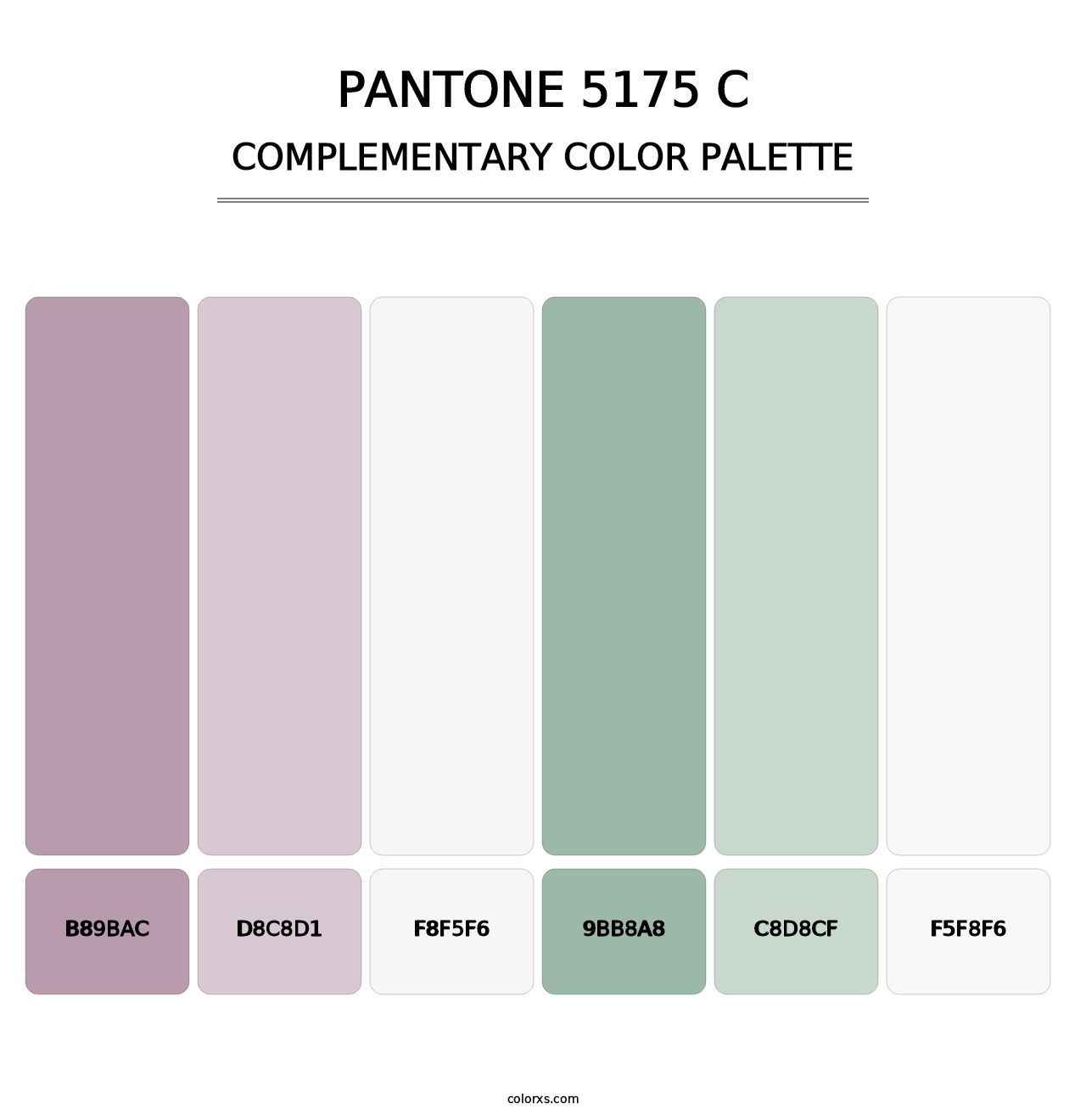 PANTONE 5175 C - Complementary Color Palette