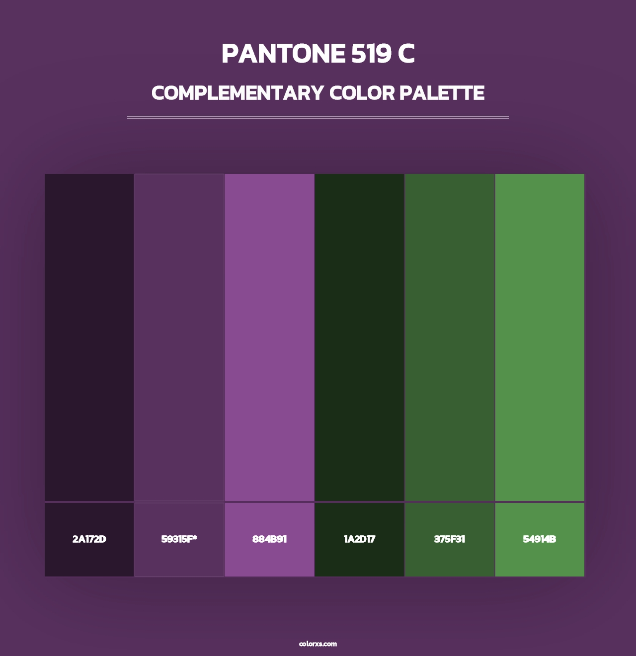 PANTONE 519 C - Complementary Color Palette