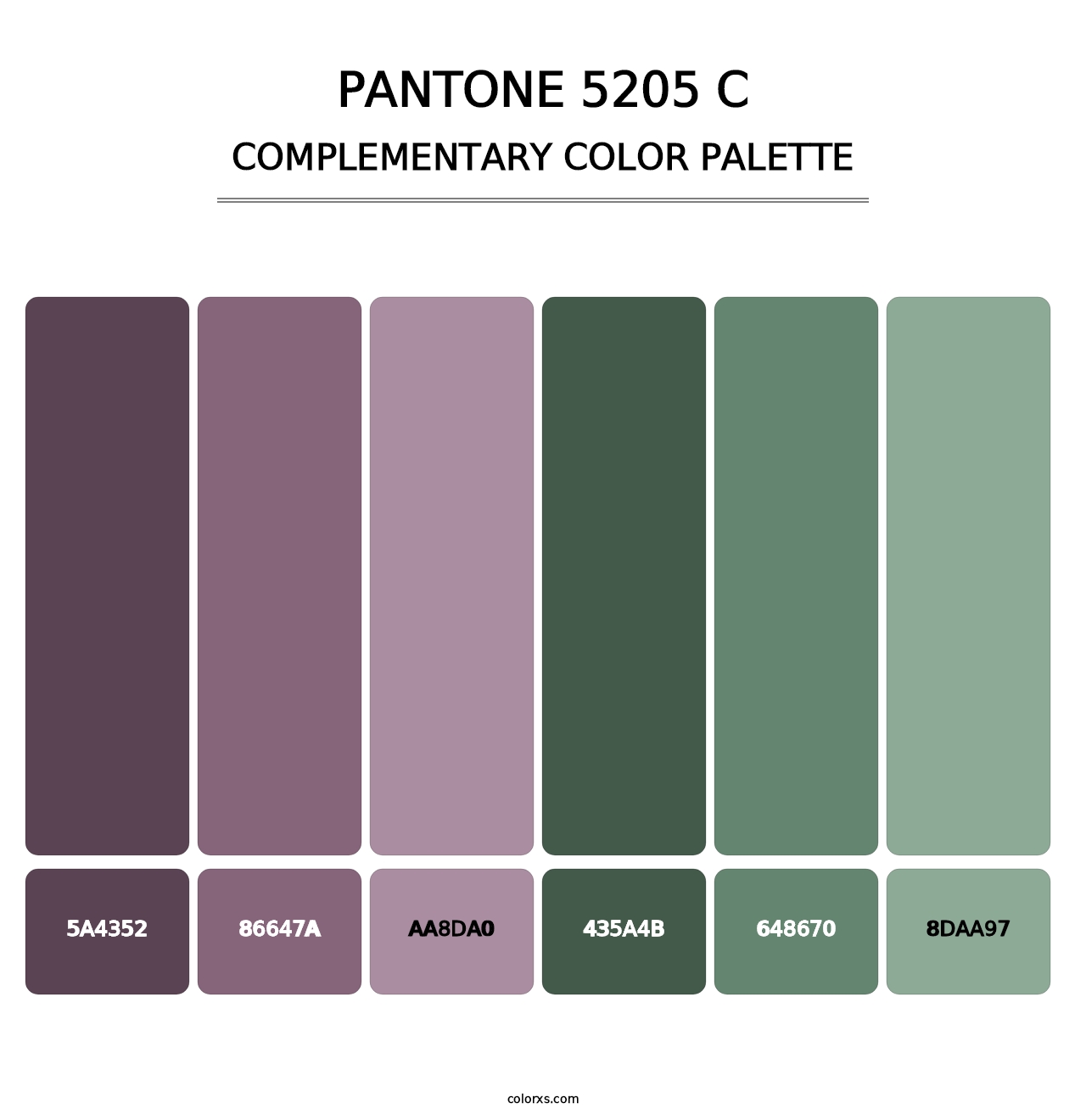 PANTONE 5205 C - Complementary Color Palette