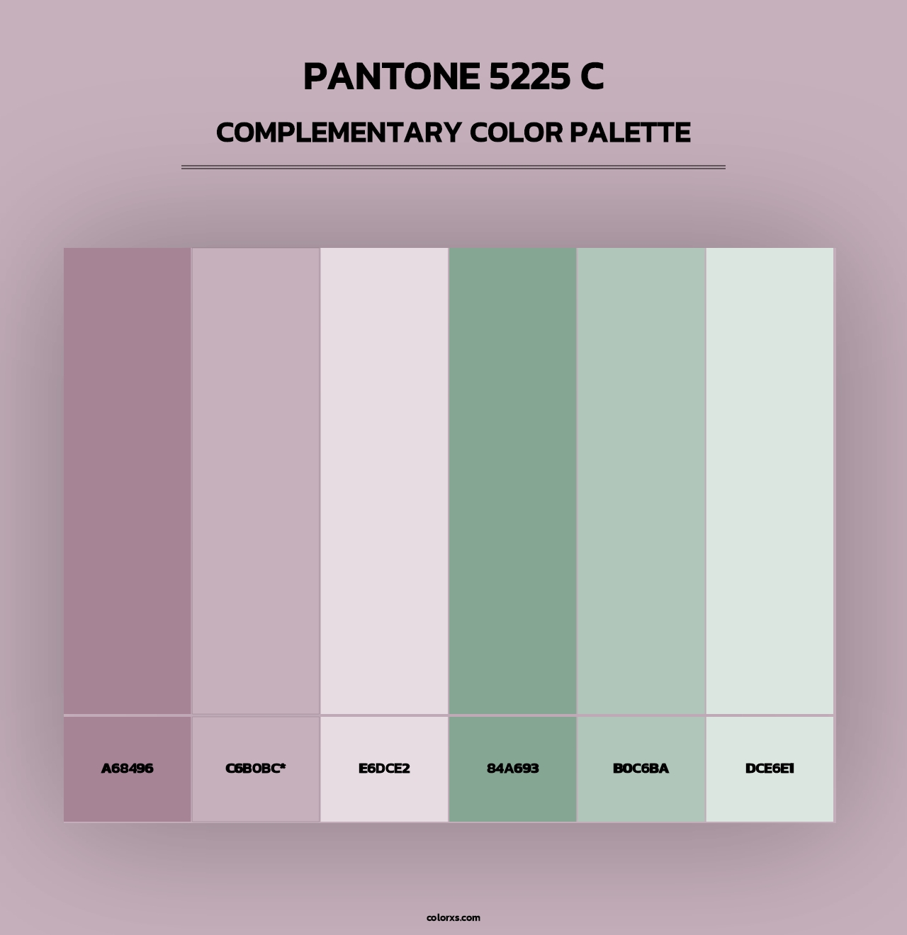 PANTONE 5225 C - Complementary Color Palette