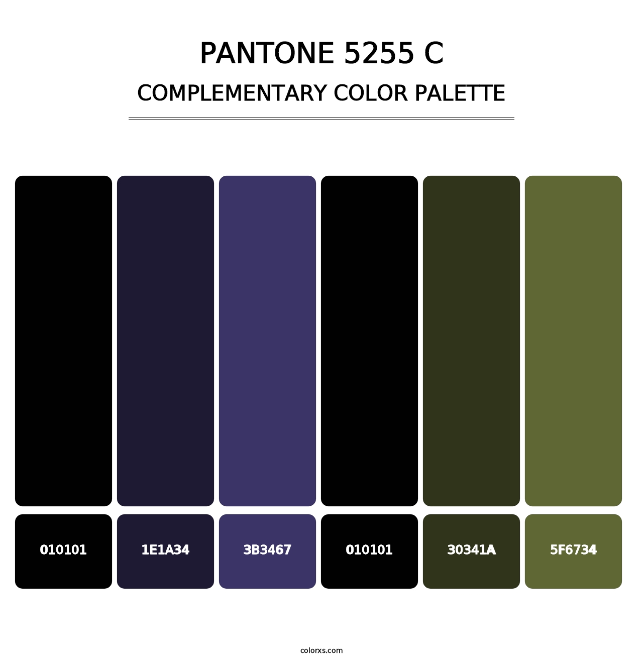 PANTONE 5255 C - Complementary Color Palette
