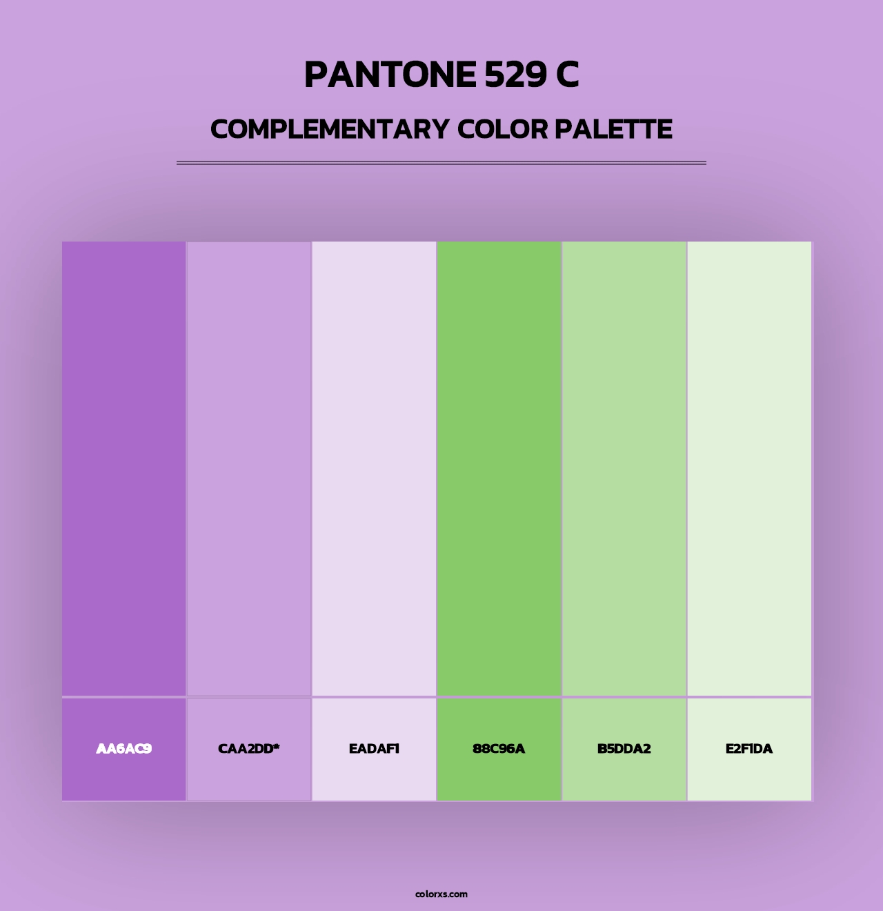 PANTONE 529 C - Complementary Color Palette