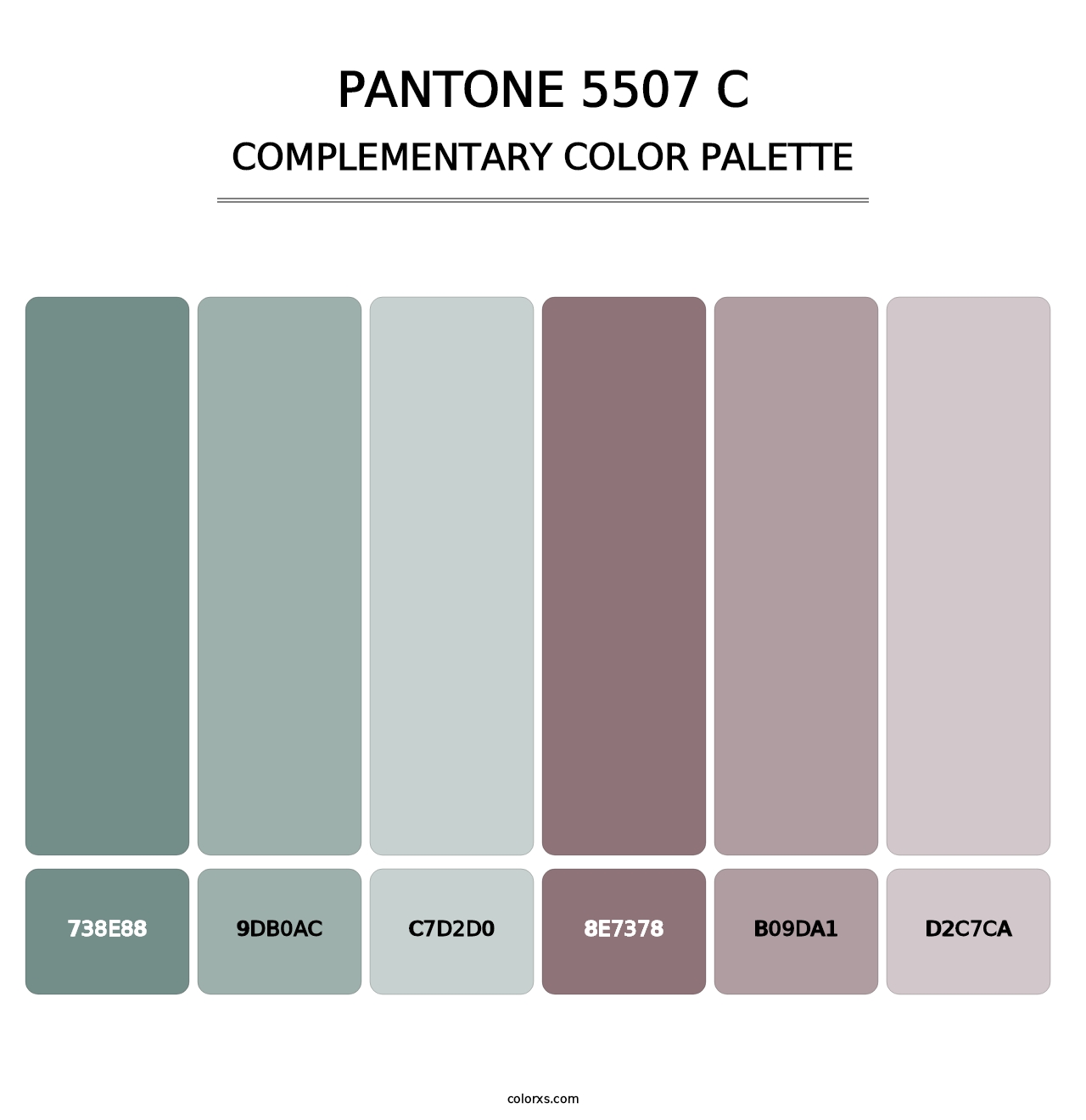 PANTONE 5507 C - Complementary Color Palette