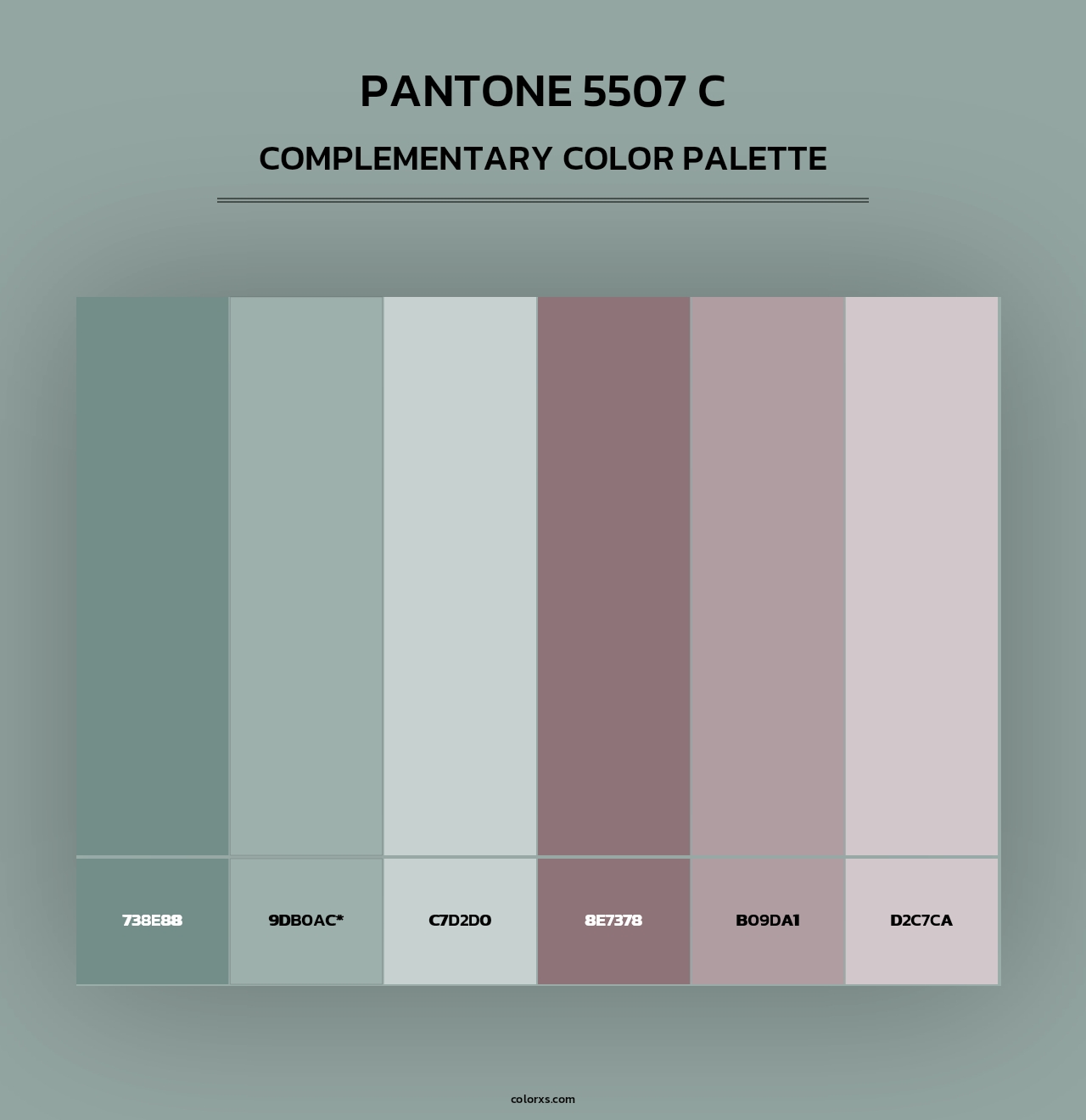 PANTONE 5507 C - Complementary Color Palette
