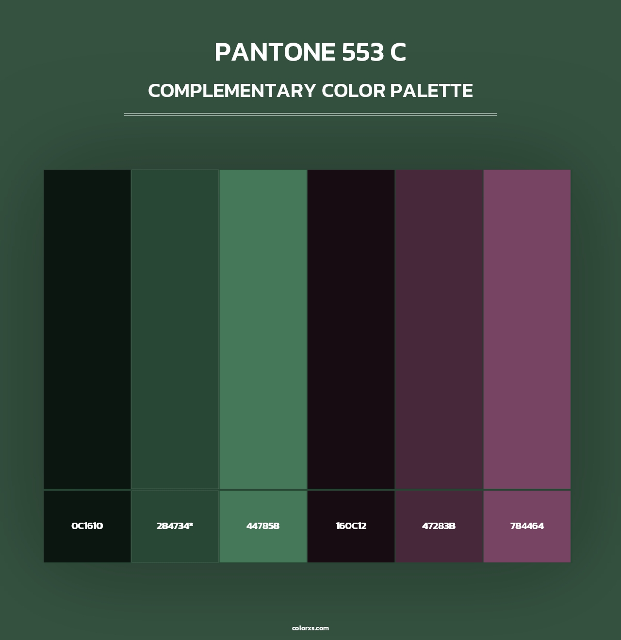 PANTONE 553 C - Complementary Color Palette