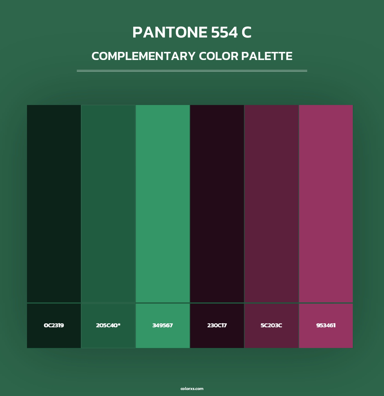 PANTONE 554 C - Complementary Color Palette