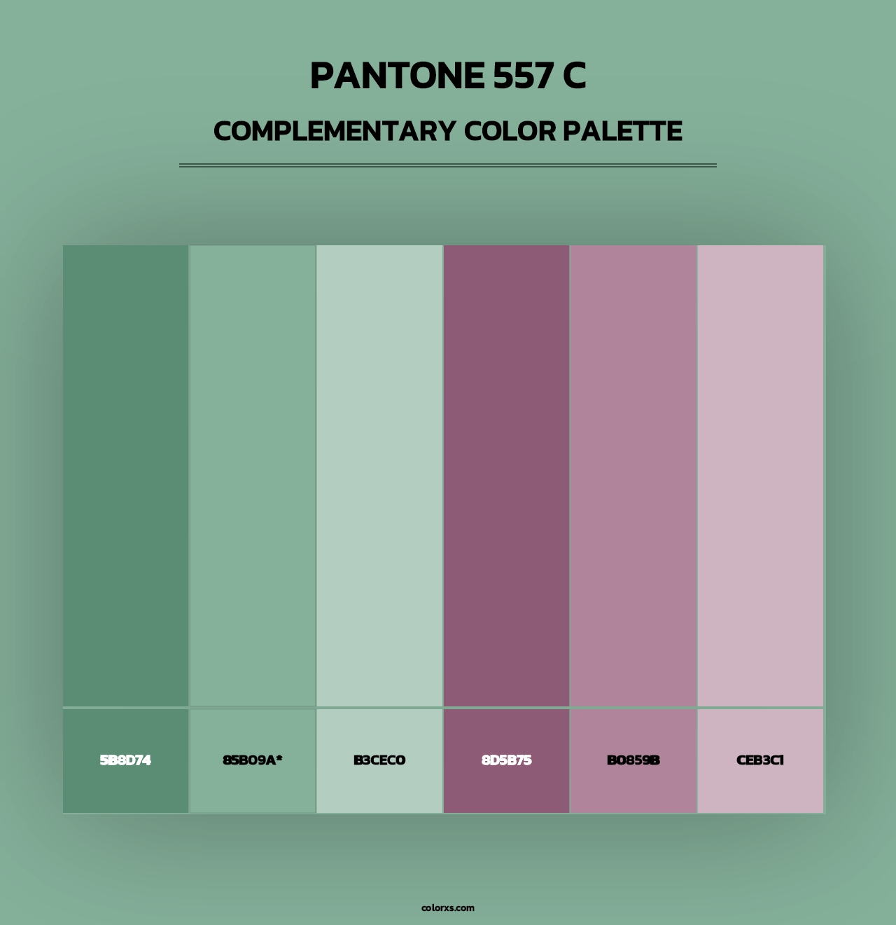 PANTONE 557 C - Complementary Color Palette