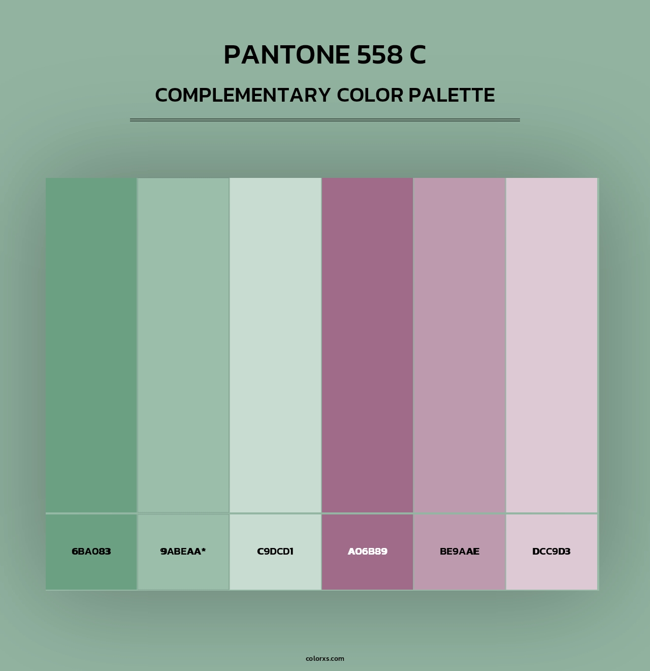 PANTONE 558 C - Complementary Color Palette