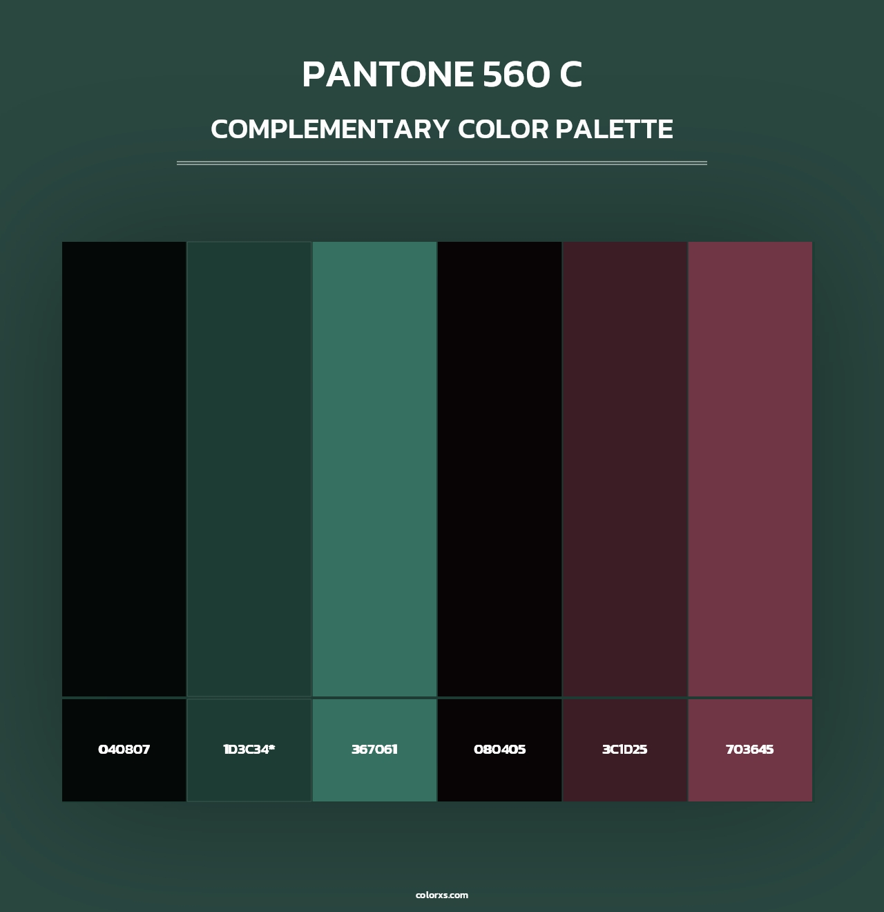 PANTONE 560 C - Complementary Color Palette
