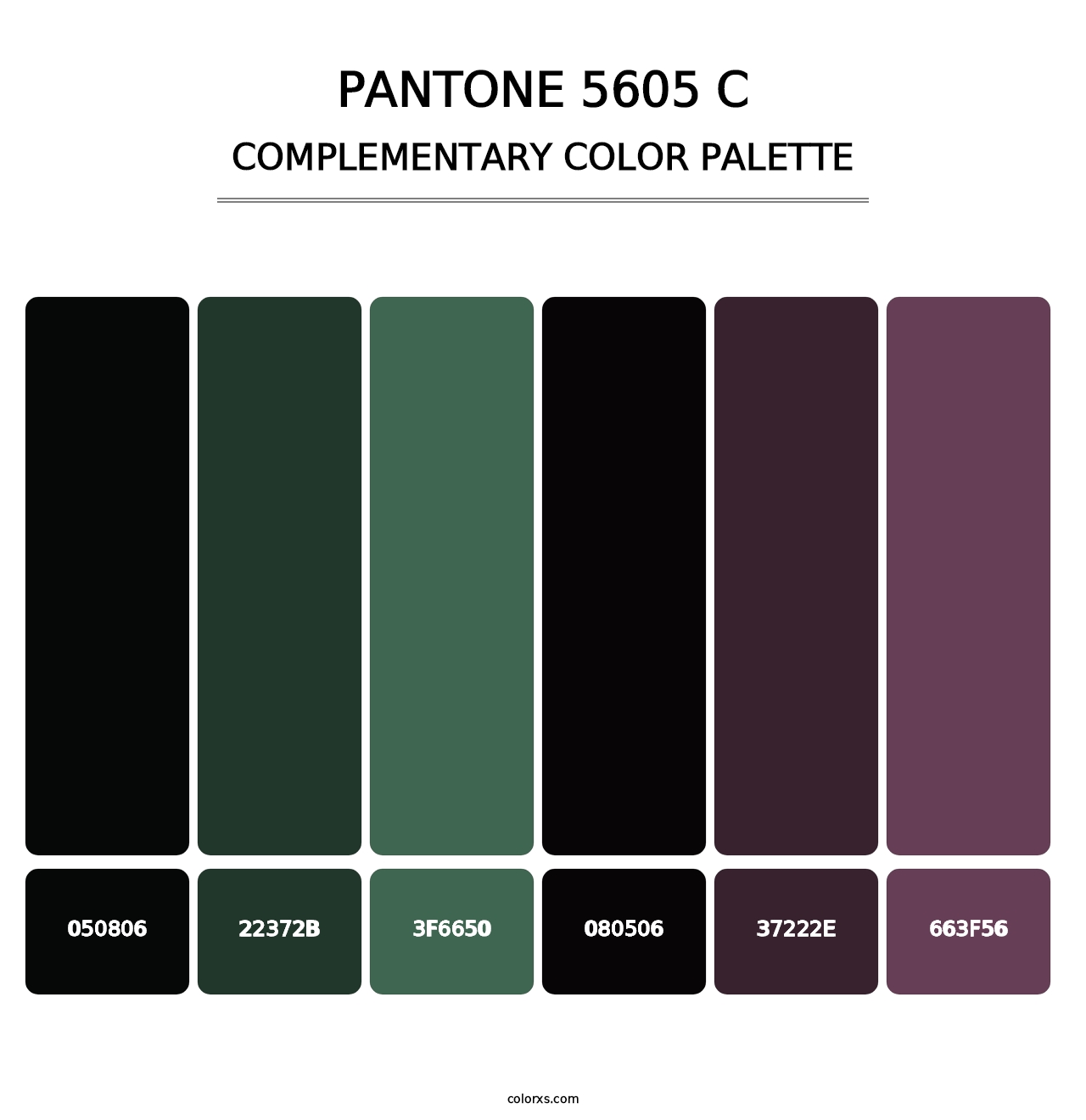 PANTONE 5605 C - Complementary Color Palette