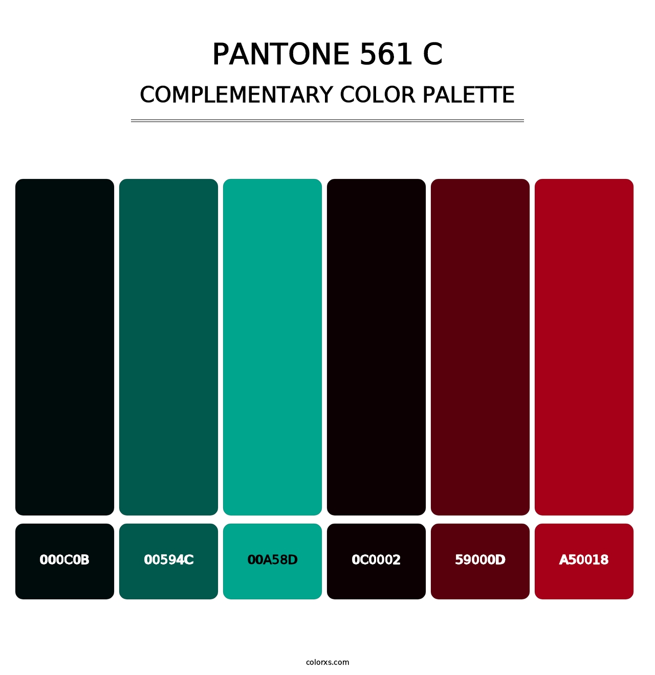 PANTONE 561 C - Complementary Color Palette