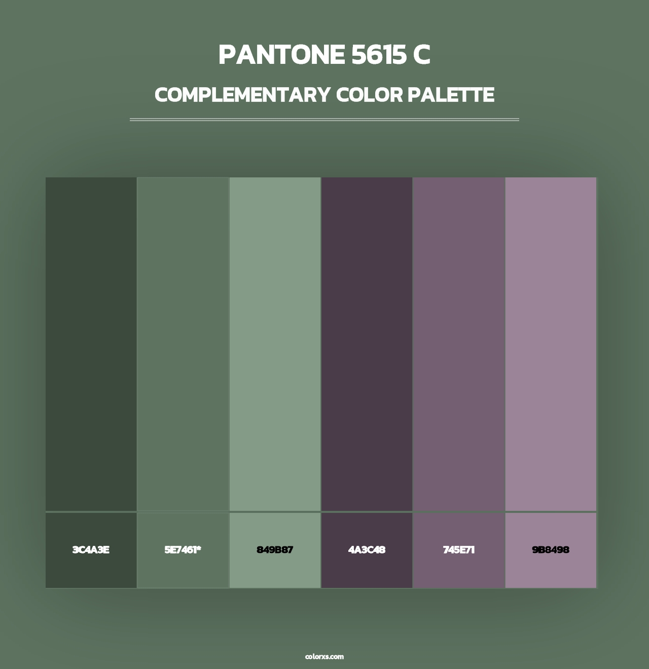 PANTONE 5615 C - Complementary Color Palette