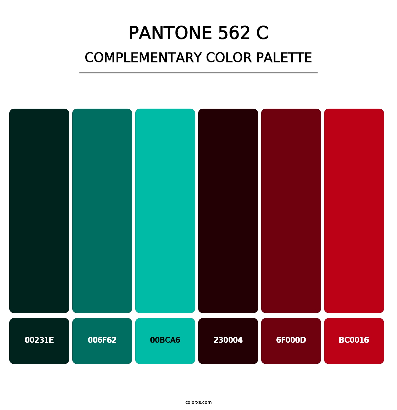 PANTONE 562 C - Complementary Color Palette