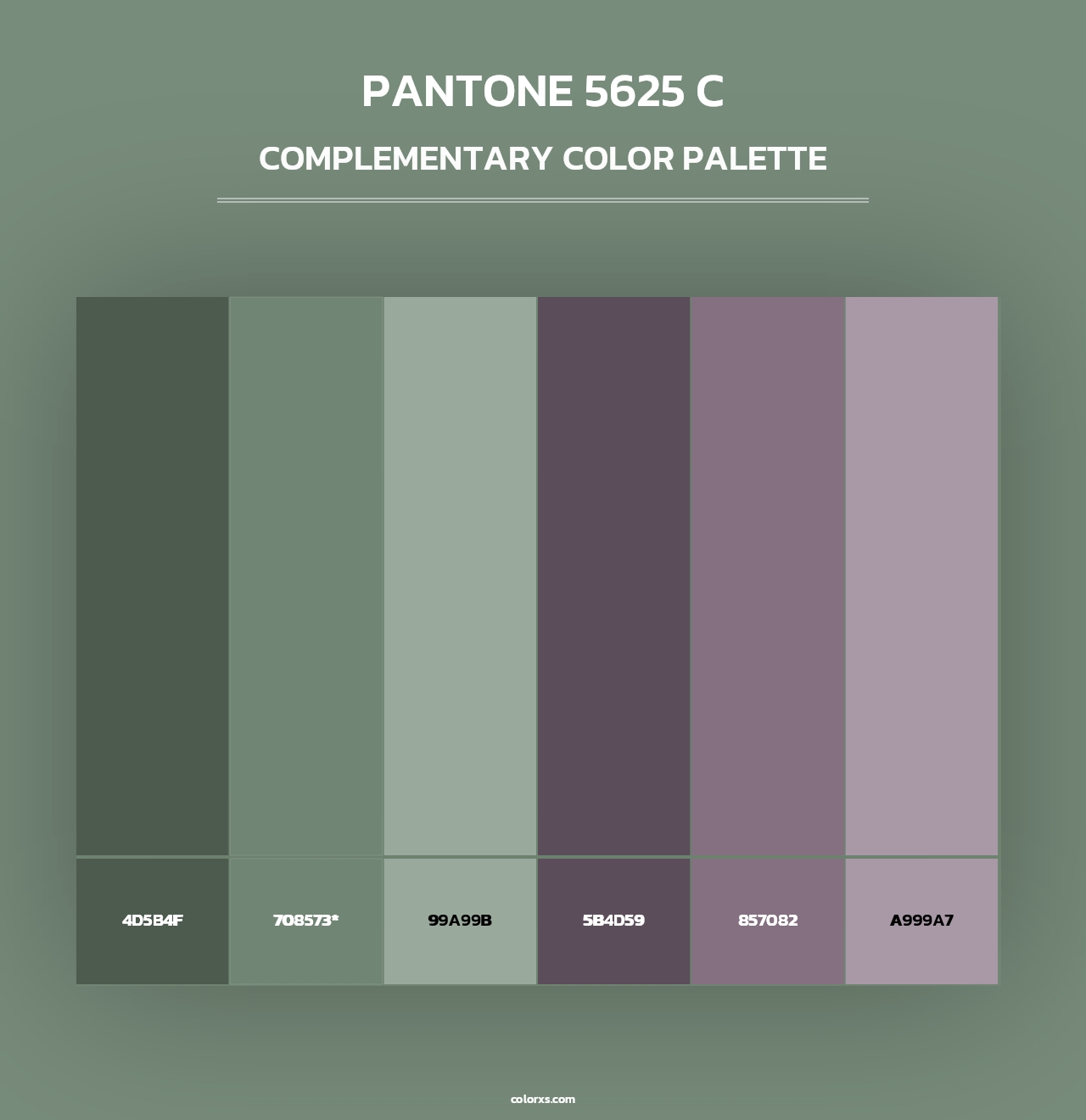 PANTONE 5625 C - Complementary Color Palette