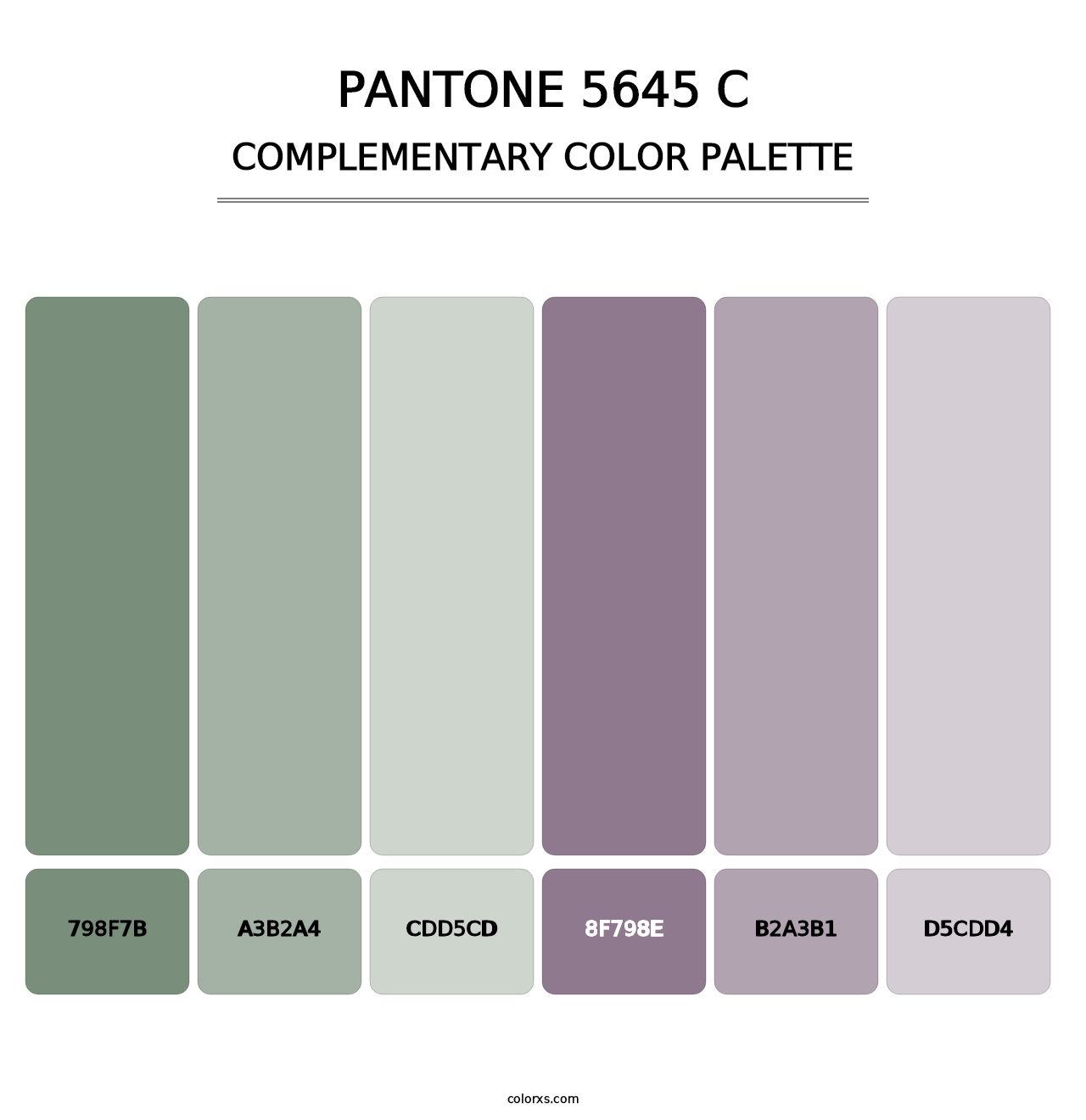 PANTONE 5645 C - Complementary Color Palette