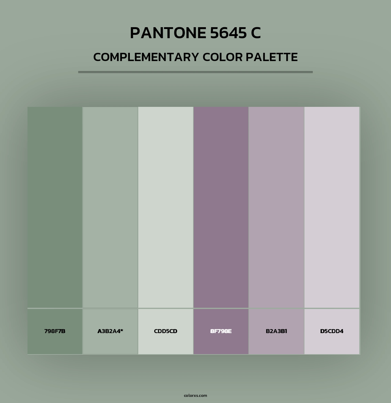 PANTONE 5645 C - Complementary Color Palette