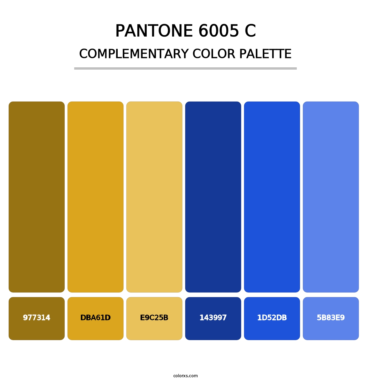 PANTONE 6005 C - Complementary Color Palette