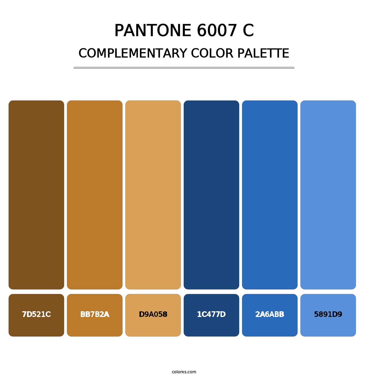 PANTONE 6007 C - Complementary Color Palette