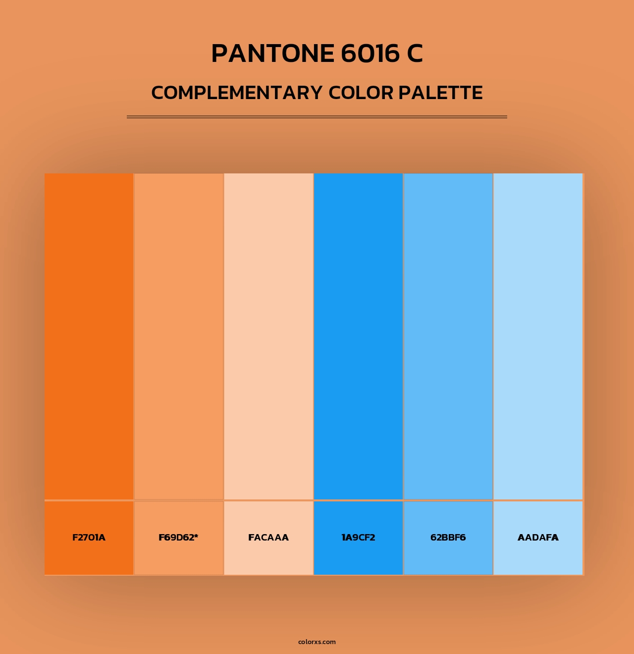 PANTONE 6016 C - Complementary Color Palette