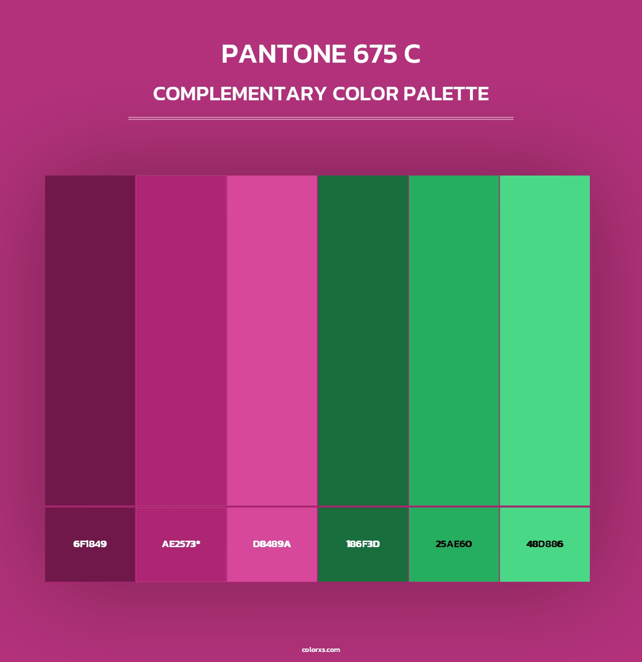 PANTONE 675 C - Complementary Color Palette