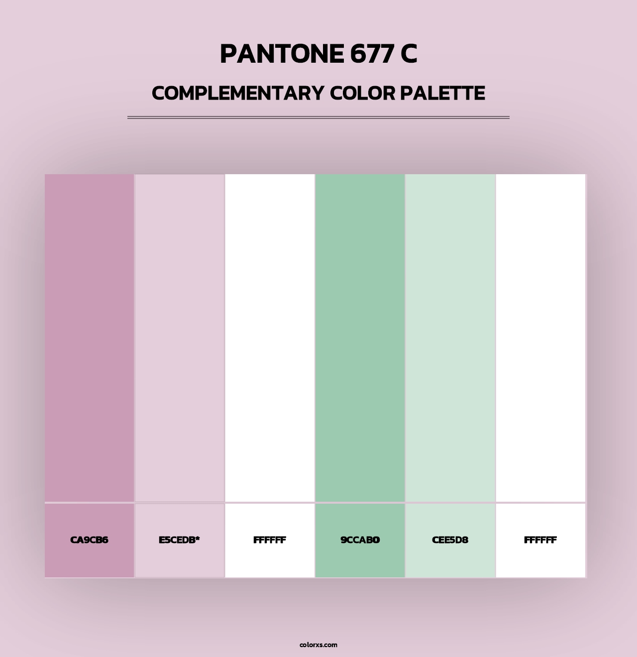 PANTONE 677 C - Complementary Color Palette