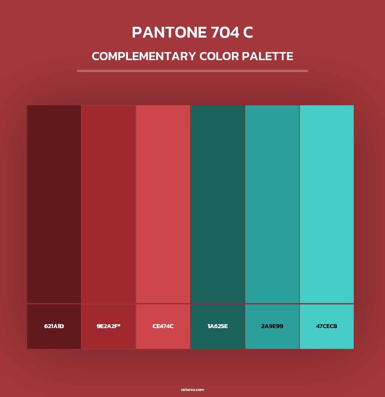 PANTONE 704 C - Complementary Color Palette