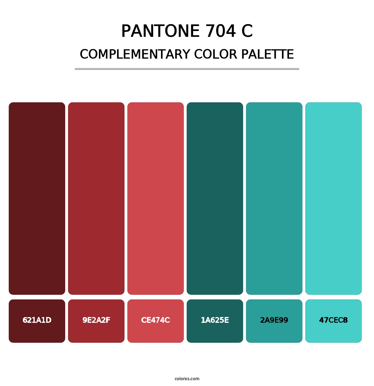 PANTONE 704 C - Complementary Color Palette