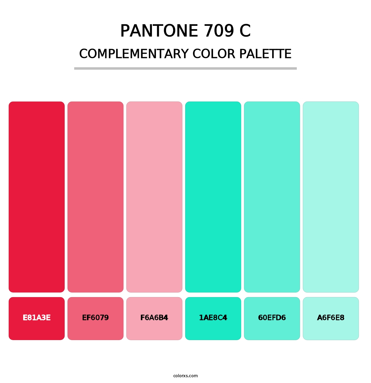 PANTONE 709 C - Complementary Color Palette