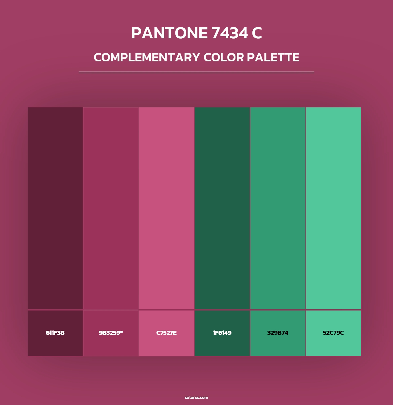 PANTONE 7434 C - Complementary Color Palette