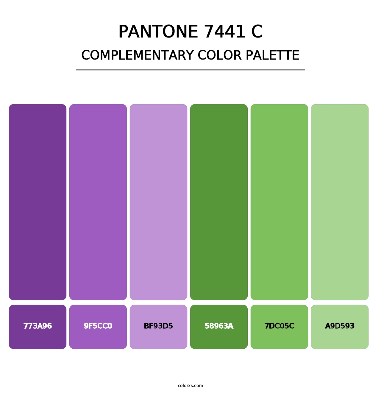 PANTONE 7441 C - Complementary Color Palette