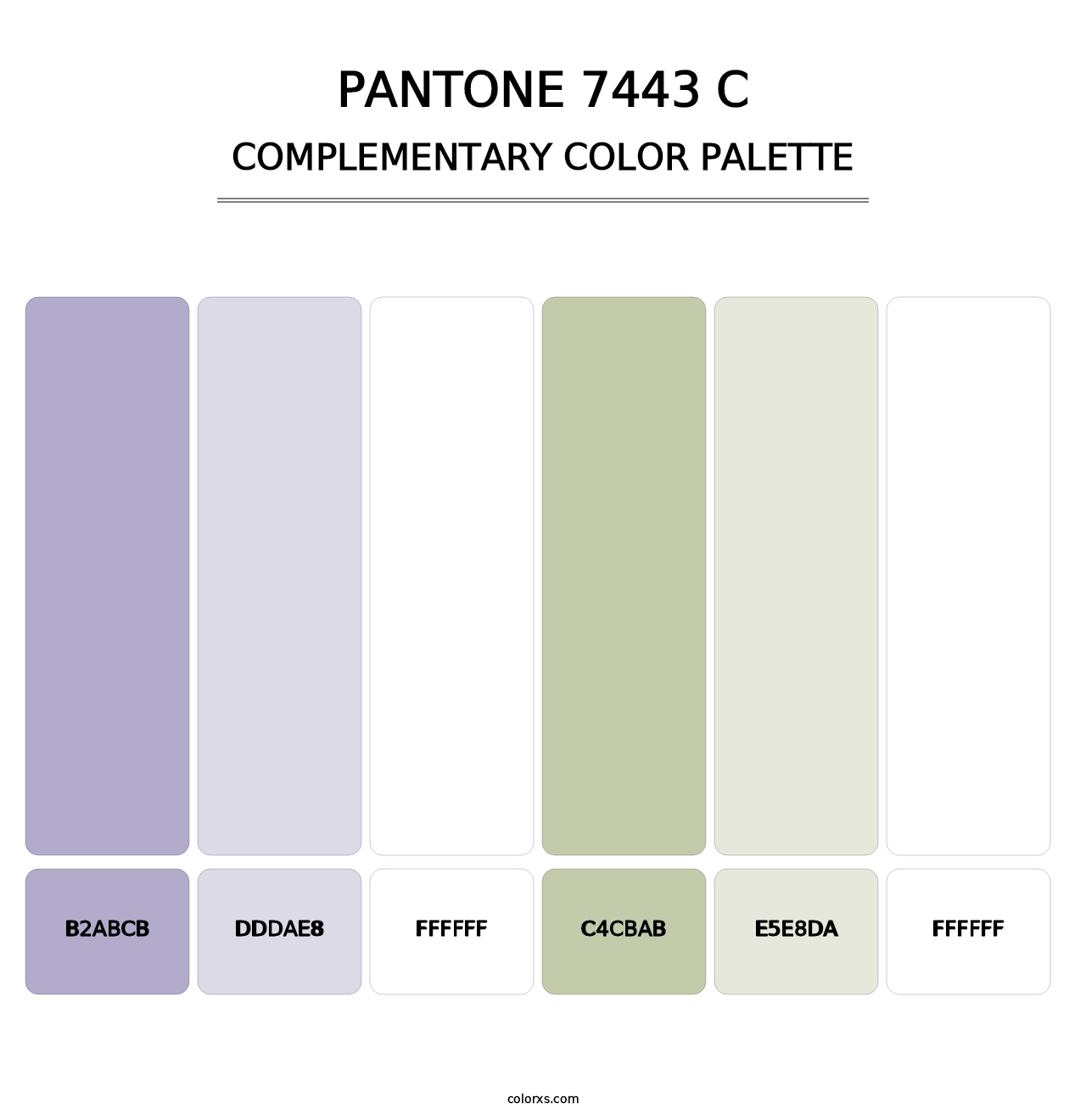PANTONE 7443 C - Complementary Color Palette
