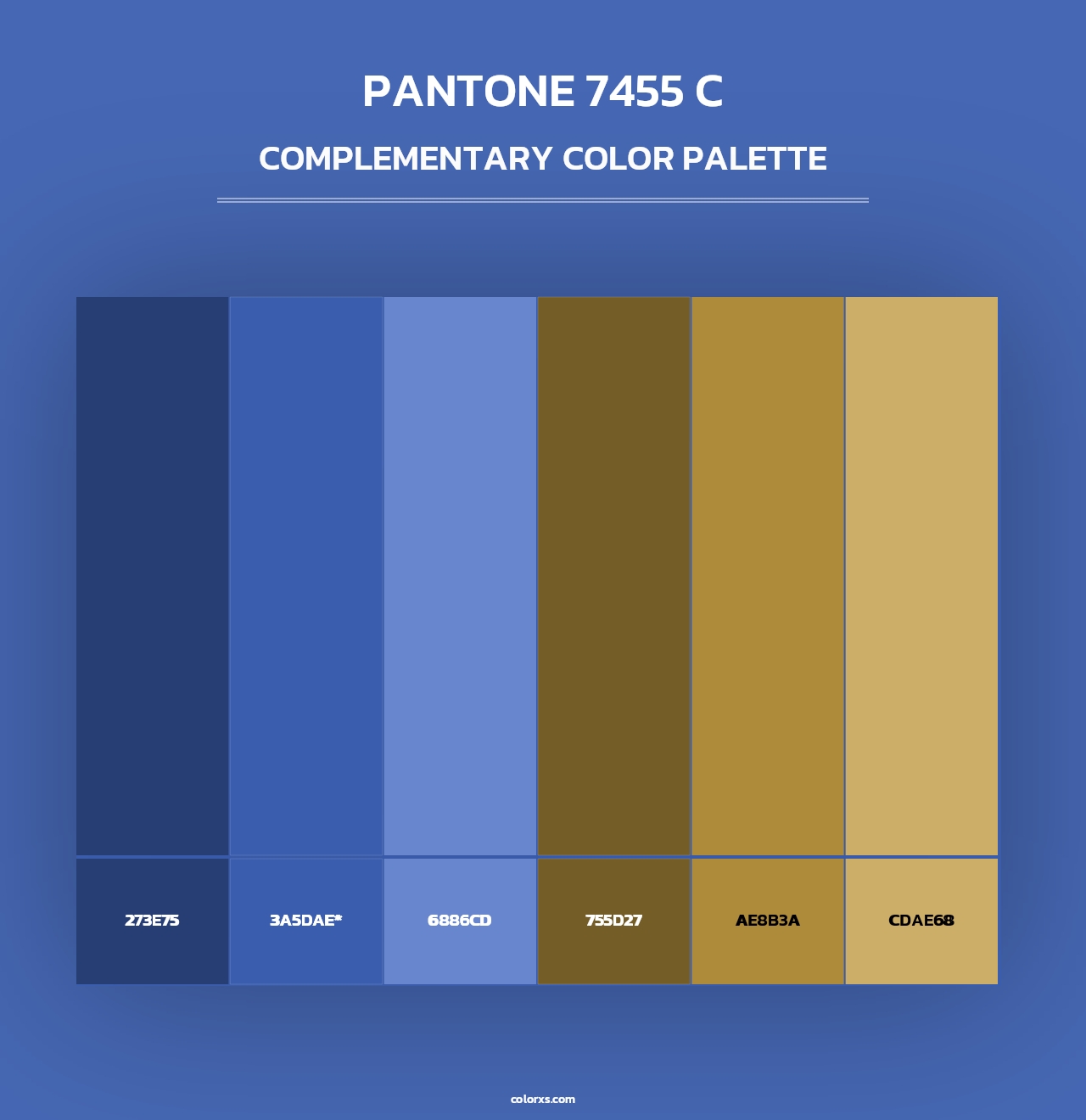 PANTONE 7455 C - Complementary Color Palette