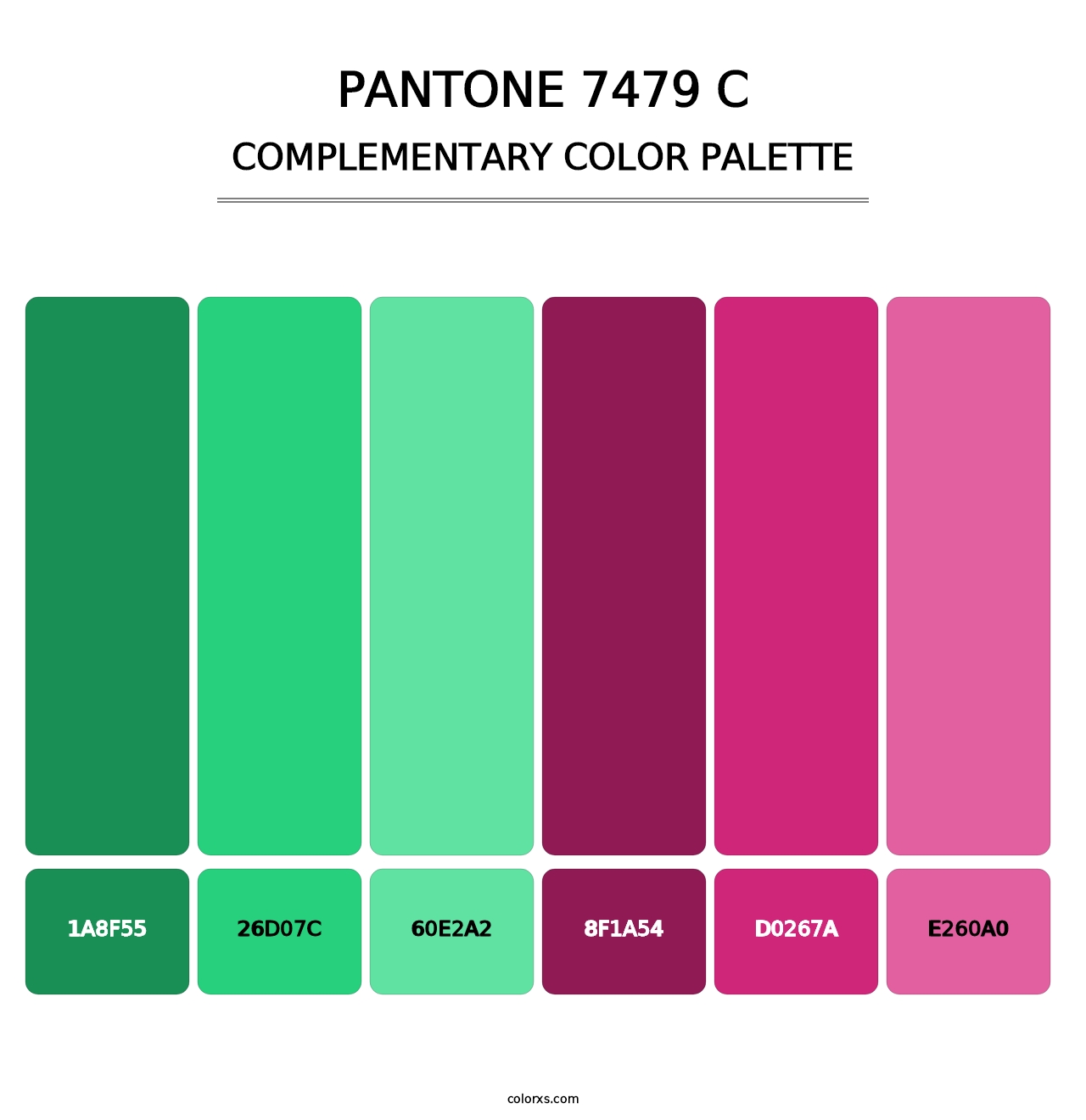 PANTONE 7479 C - Complementary Color Palette