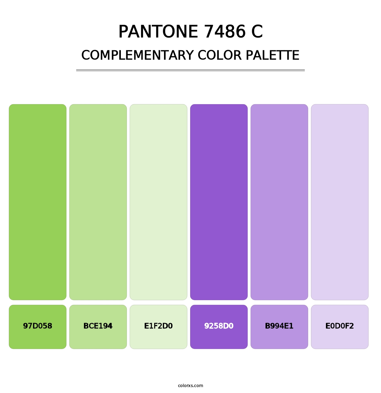 PANTONE 7486 C - Complementary Color Palette