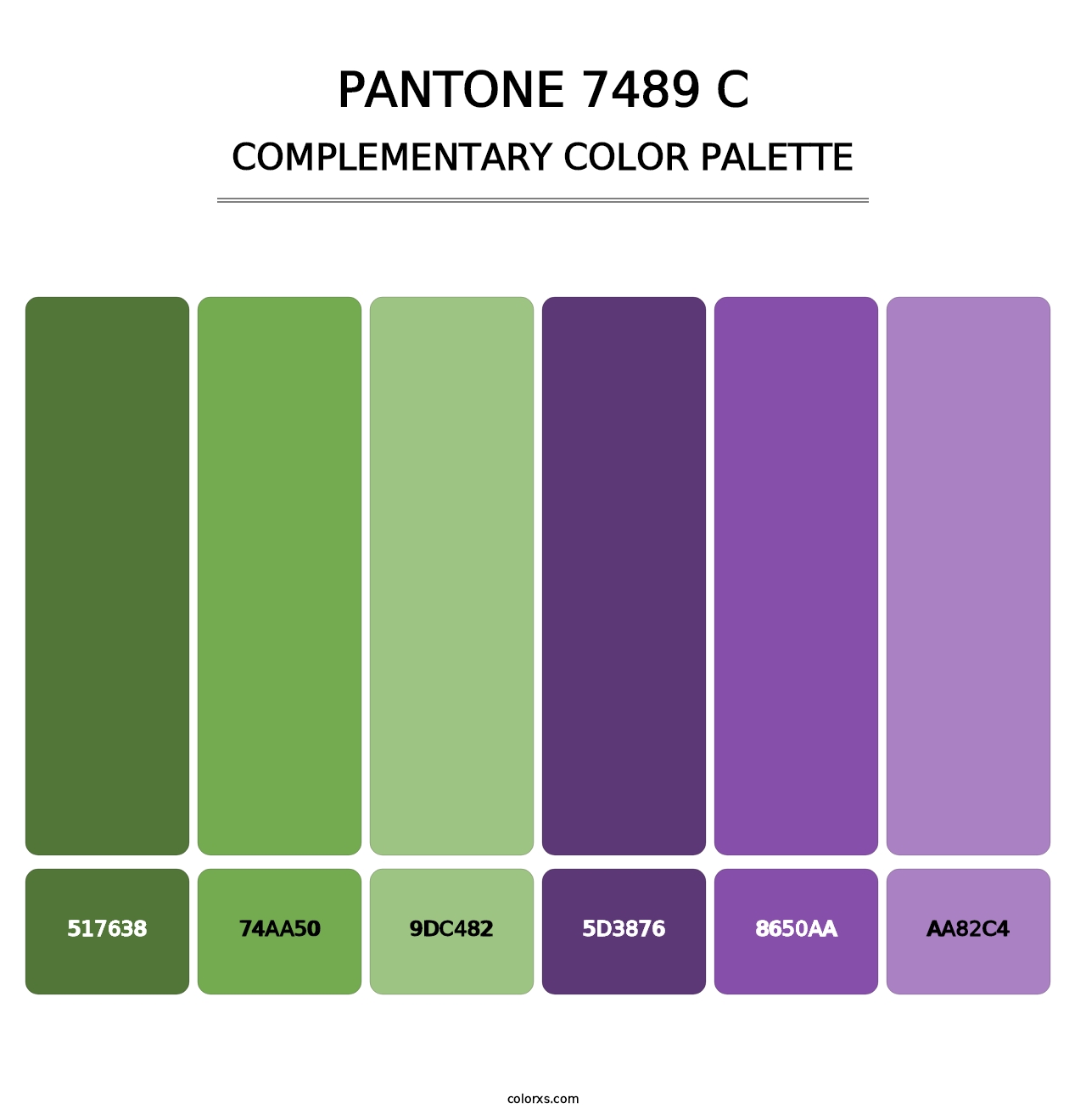 PANTONE 7489 C - Complementary Color Palette