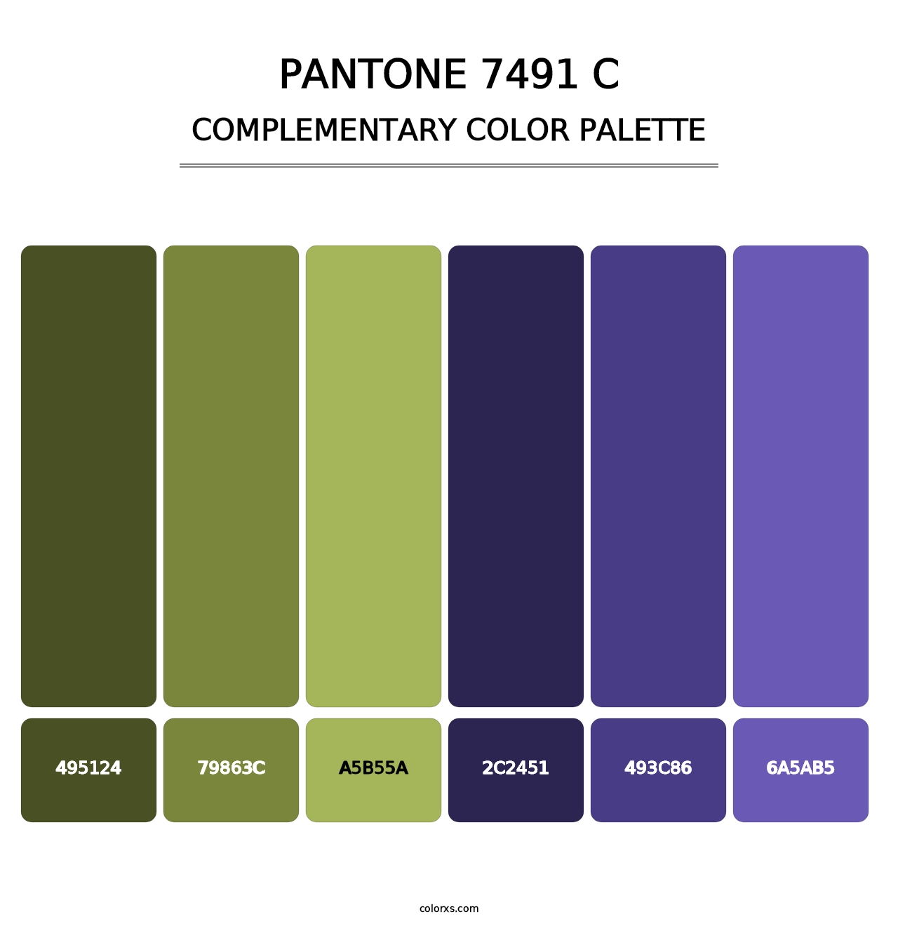 PANTONE 7491 C - Complementary Color Palette