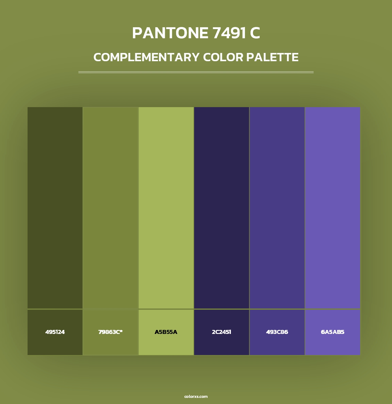 PANTONE 7491 C - Complementary Color Palette